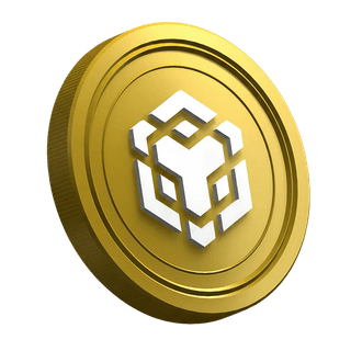 La page du guide destiné aux traders débutants avec la cryptomonnaie BNB